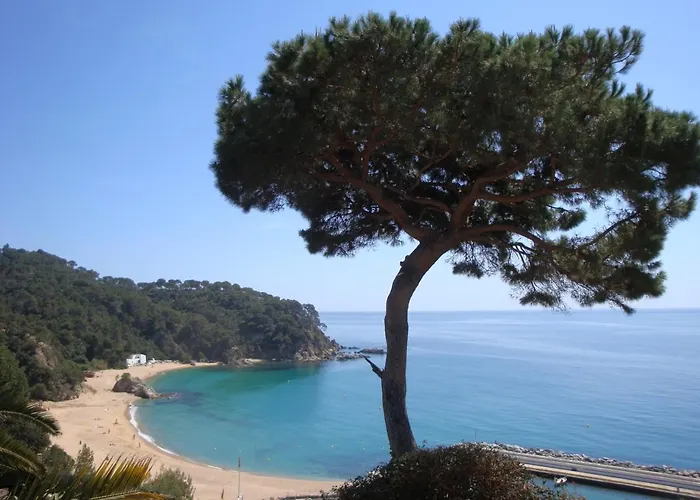 Miramar * Lloret de Mar